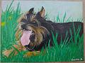 acrylique_0014 (soldout)